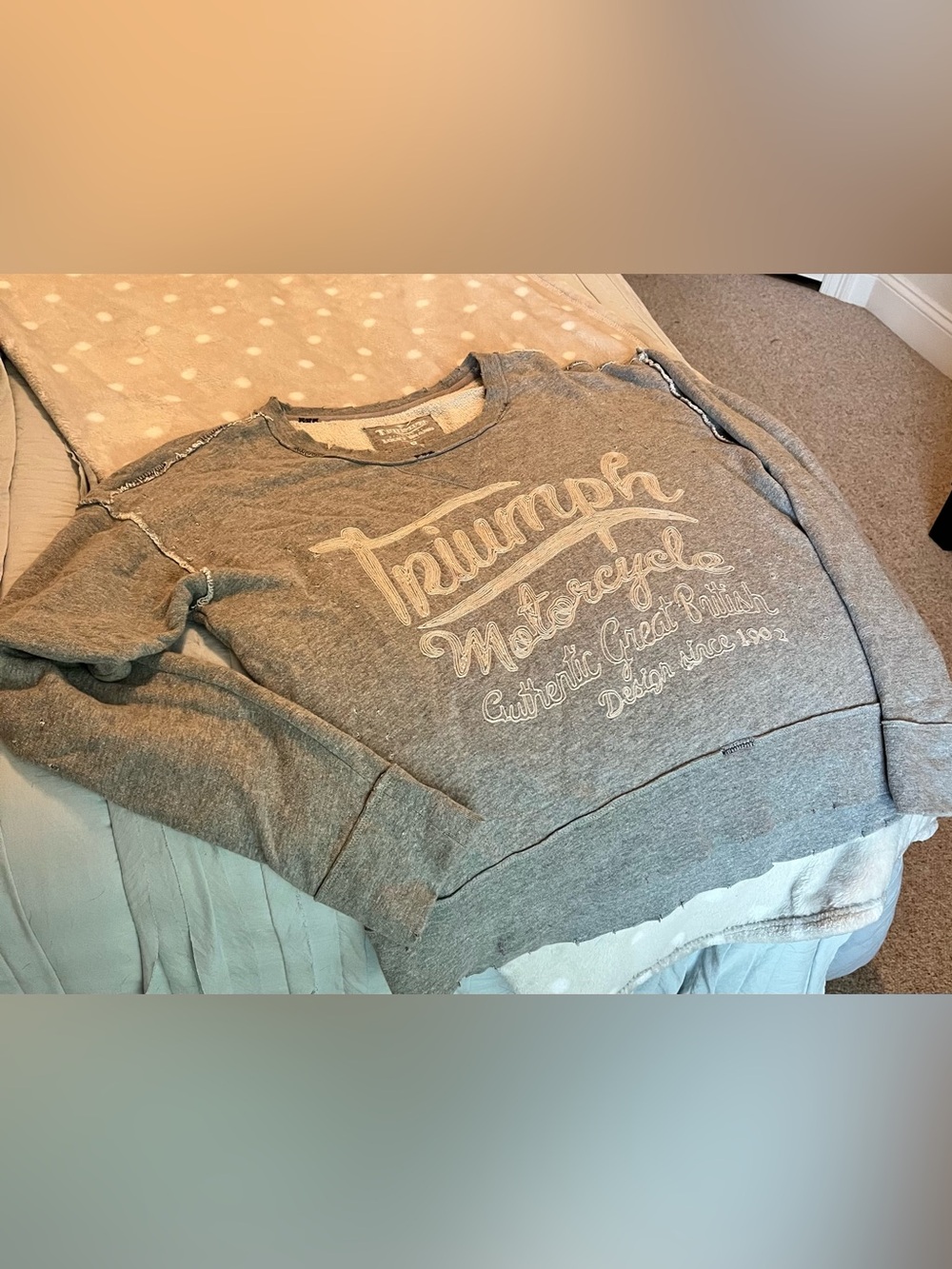 Lucky Brand x Triumph Grey Crewneck Distressed Graphic Sweatshirt